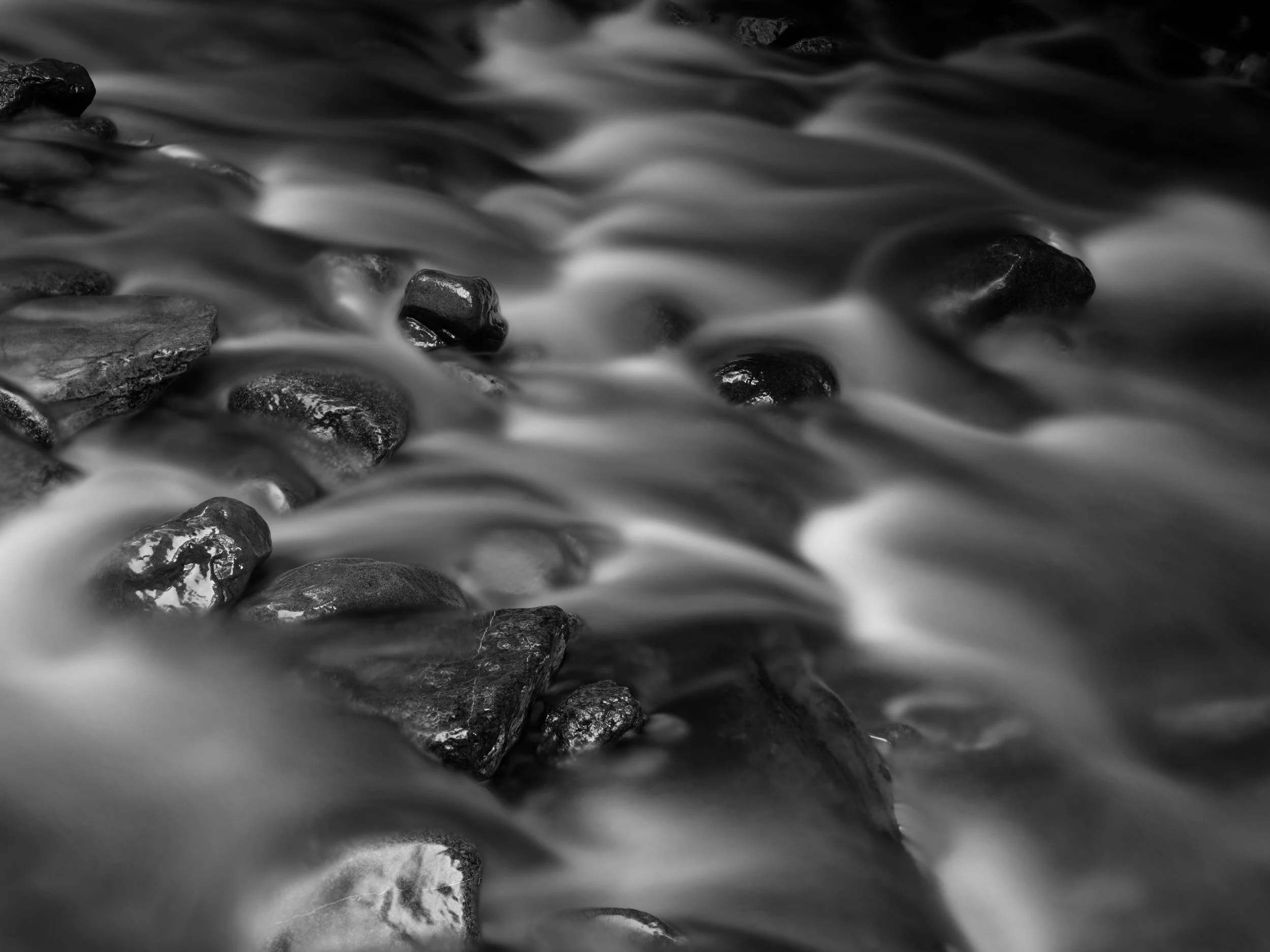 Rain-forest Stream XII